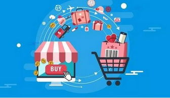 苏州APP软件开发服务周期的关键注意事项