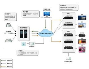多媒体软件开发外包服务 创新与效率的融合之道